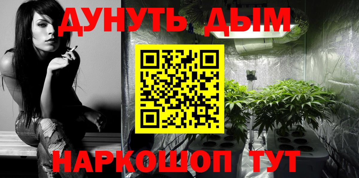 Бошки марихуана AK-47  Марихуана SATIVA & INDICA  Североуральск  Марихуана планчик  Вход с VPN  Марихуана Amnesia 